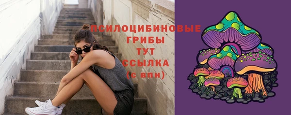 стаф Абаза