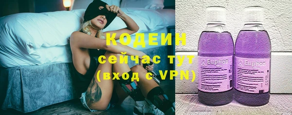стафф Осинники