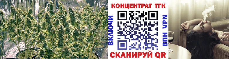 ТГК вейп с тгк Каменск-Шахтинский